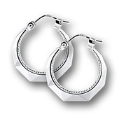 Huiscollectie 1001435 Silver Earrings