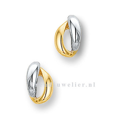 Huiscollectie 4012690 Gouden oorbellen