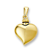 Huiscollectie 4013239 Golden keep sake pendant