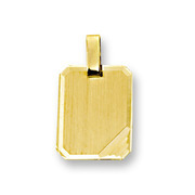 Huiscollectie 4013232 Golden engraving pendant rectangle