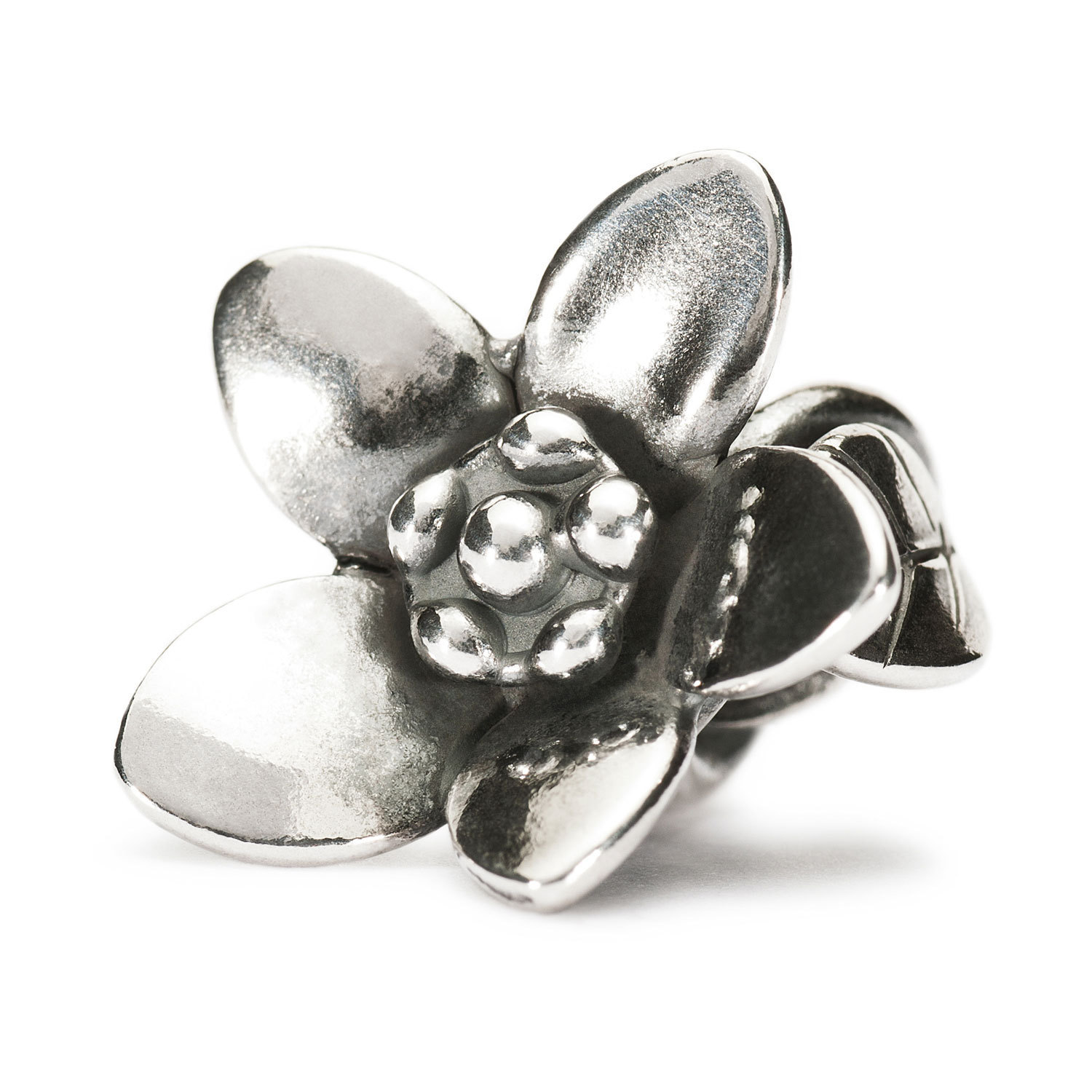 Trollbeads TAGBE-40038 silver 925 charm - WatchesnJewellery