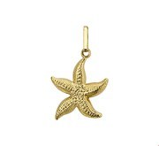 Home Collection Pendant Yellow Gold Starfish