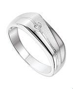 House collection Ring Zirconia Poli/mat Silver