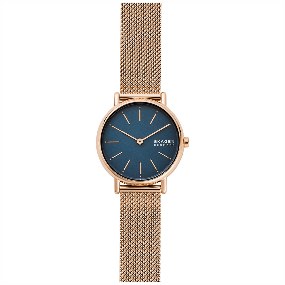 Skagen blue sale mesh watch