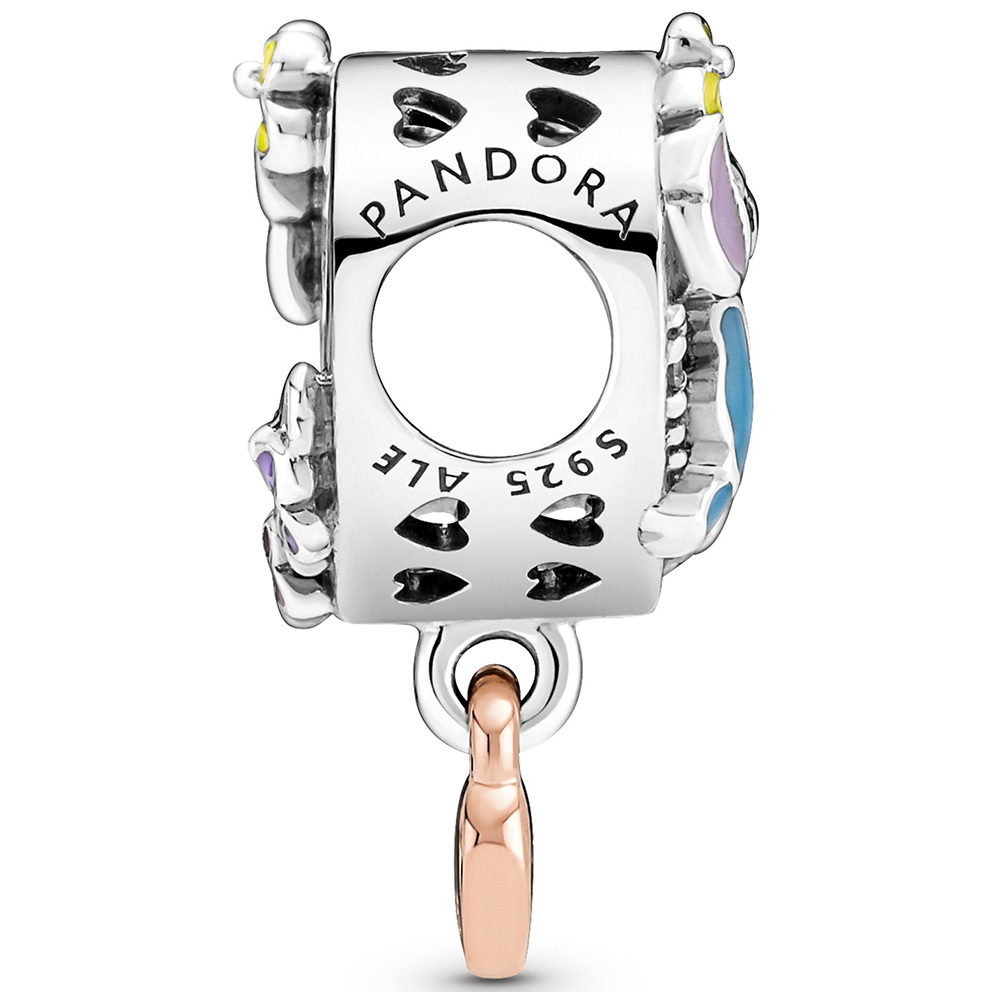 Unique Pandora Charm 